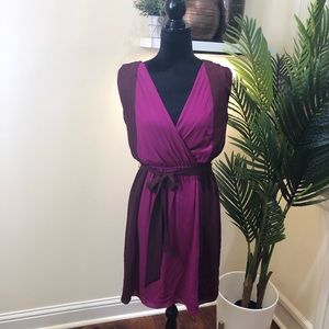 Express Burgundy Pink V-Neck & Back Tie Waist Dress